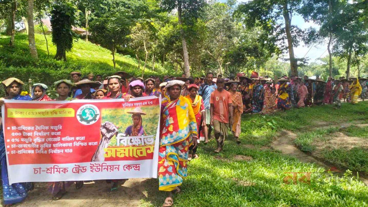 ৫০০ টাকা মজুরির দাবিতে চা-শ্রমিকদের বিক্ষোভ
