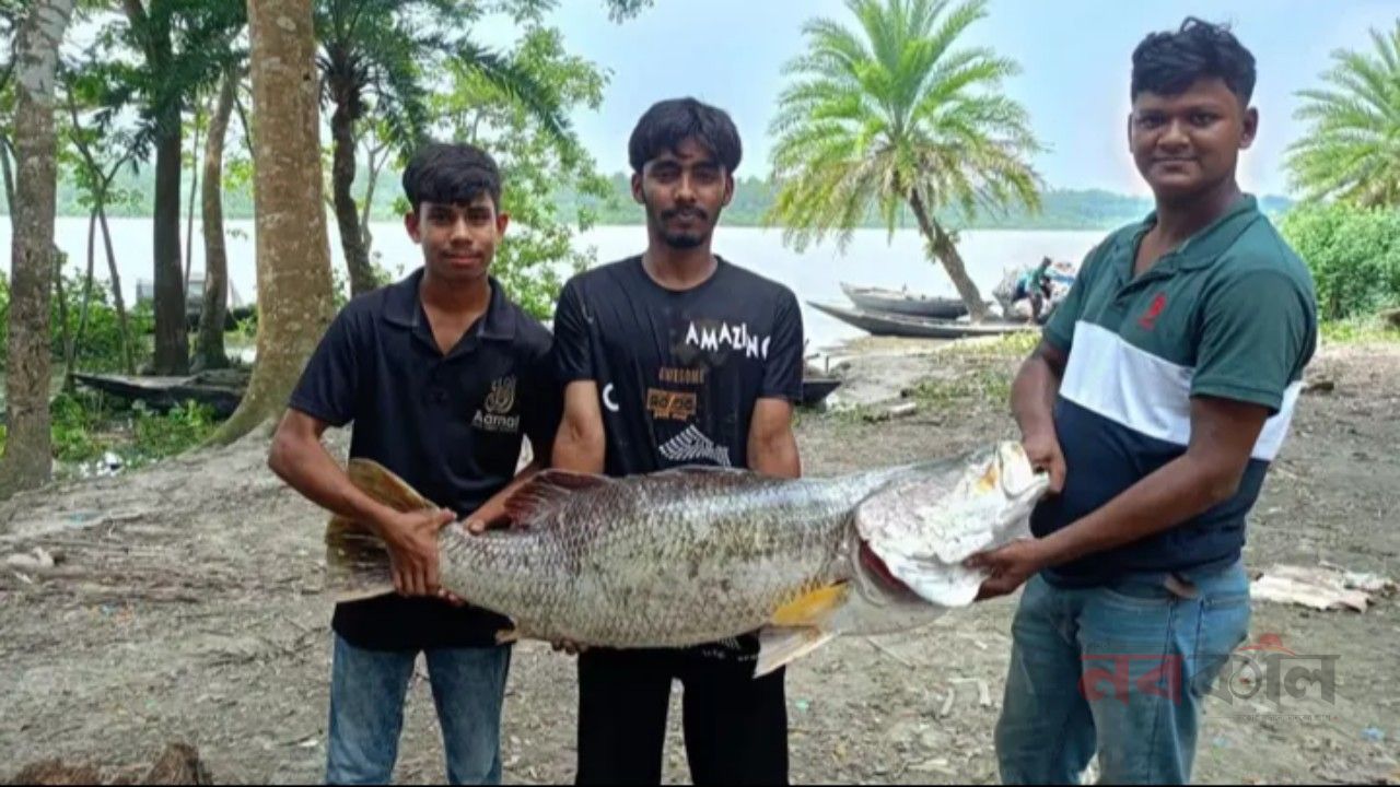 জেলের জালে ২০ কেজির কোরাল, মাছটি বিক্রি হলো ৩৬ হাজার টাকায়